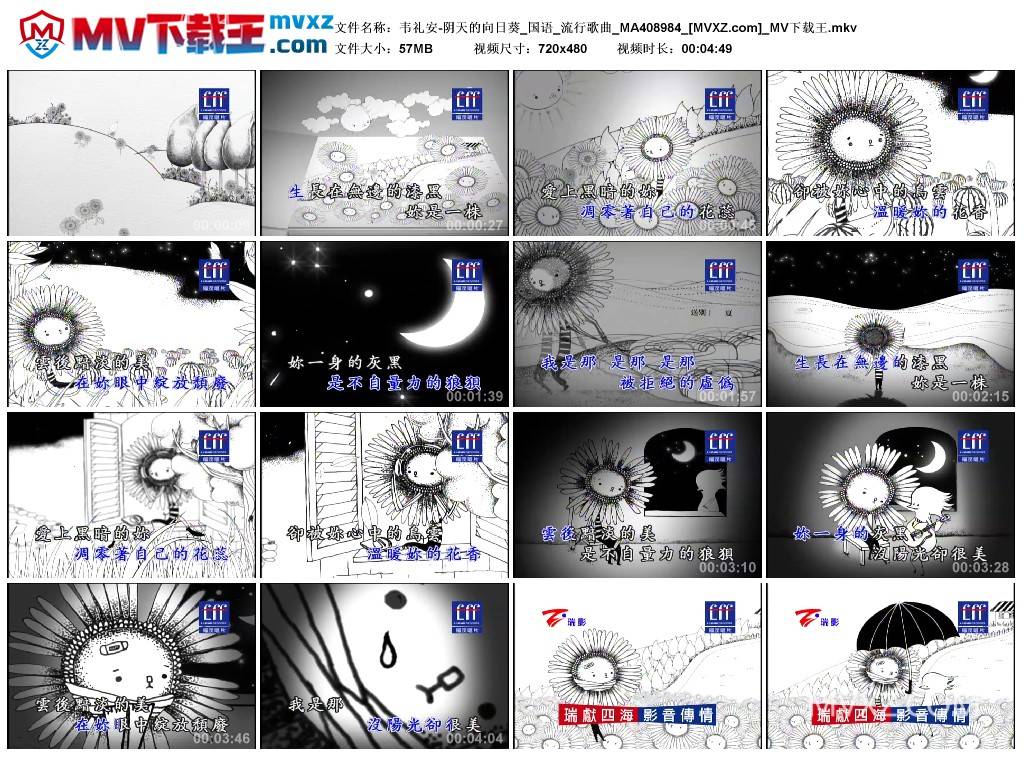 韦礼安-阴天的向日葵_国语_流行歌曲_MA408984